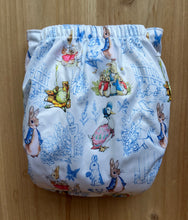 Load image into Gallery viewer, Peter OS Pocket Diaper
